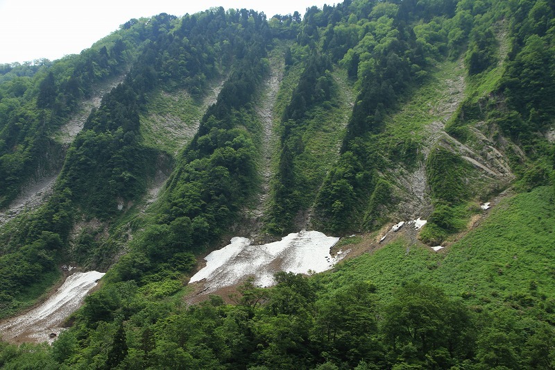 c0155950_21000779.jpg