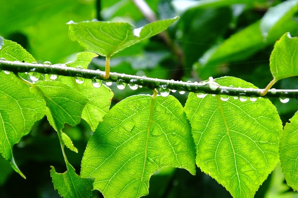 b0236251_14250420.jpg