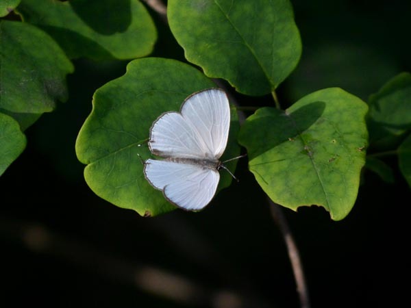 c0045352_07135814.jpg