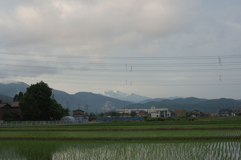 d0342652_1843620.jpg