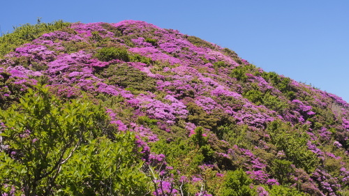 b0335256_13114546.jpg