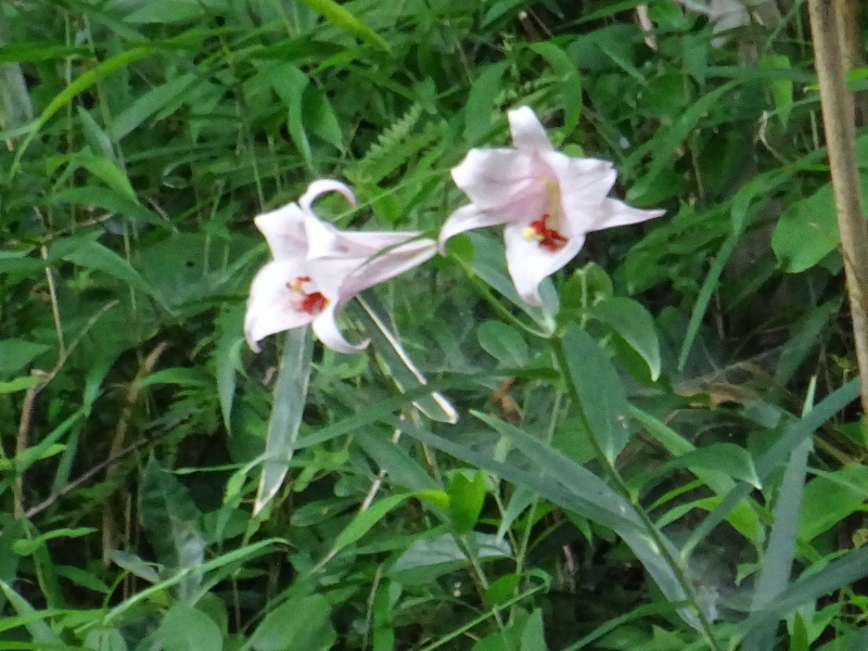 c0108460_20440758.jpg