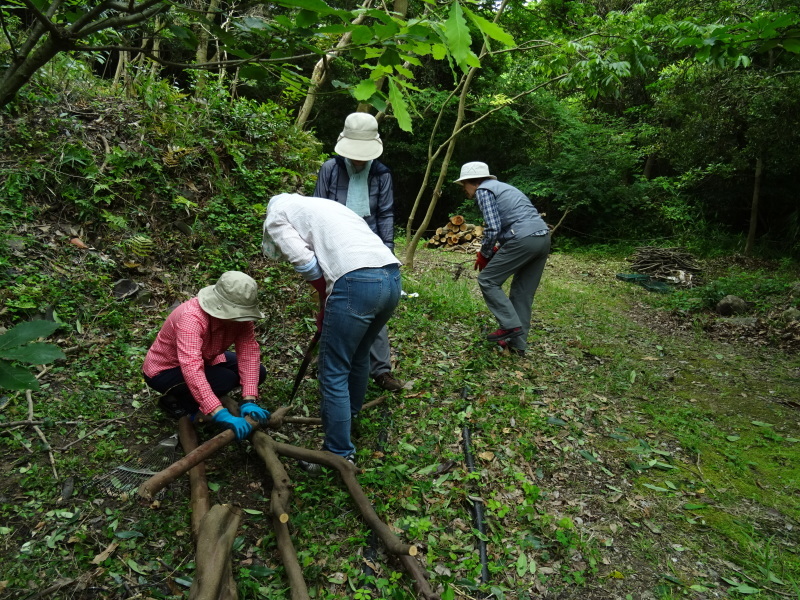 c0108460_20512786.jpg