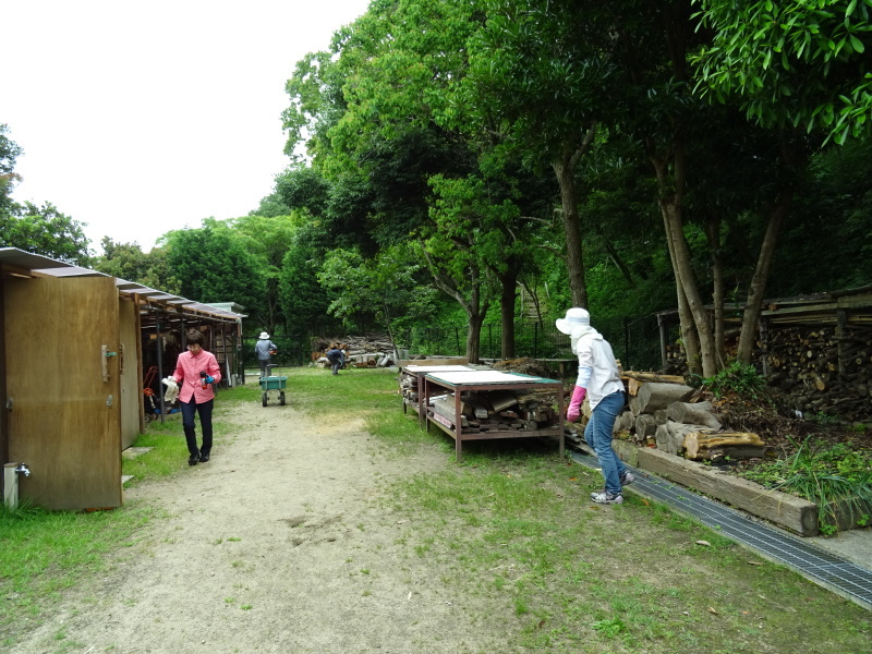 c0108460_20550352.jpg