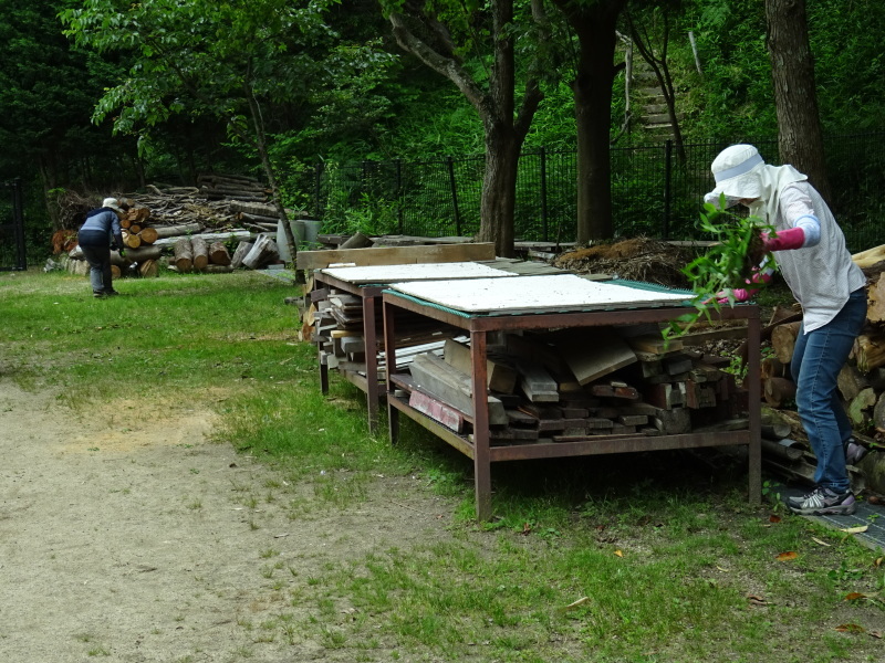 c0108460_20550478.jpg