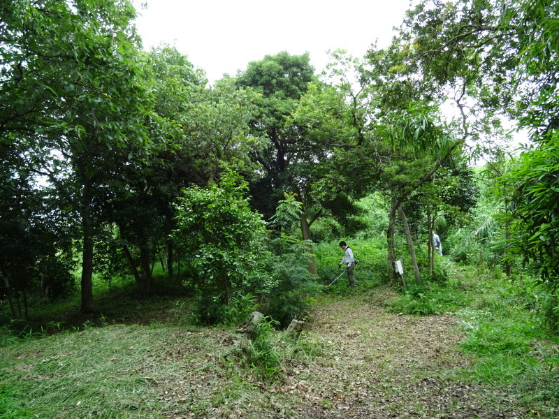 c0108460_20555538.jpg