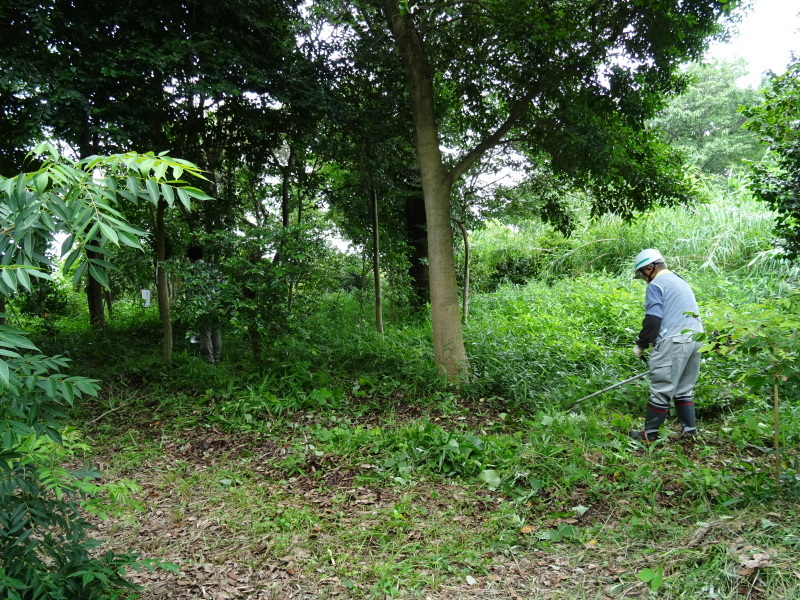 c0108460_20555783.jpg