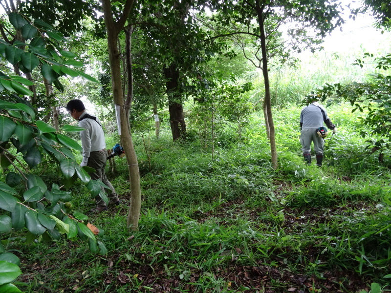 c0108460_20561490.jpg