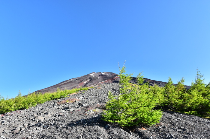 a0307264_10033469.jpg