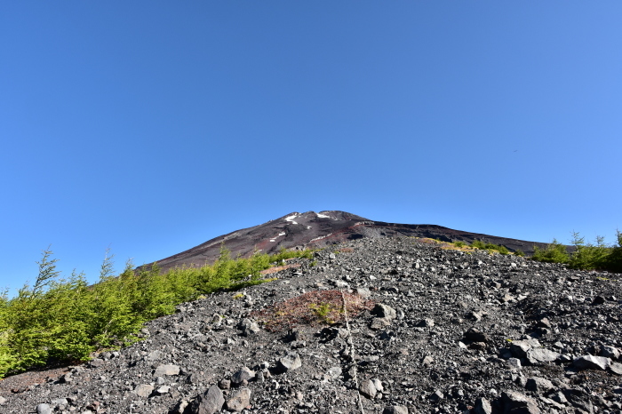 a0307264_10175945.jpg