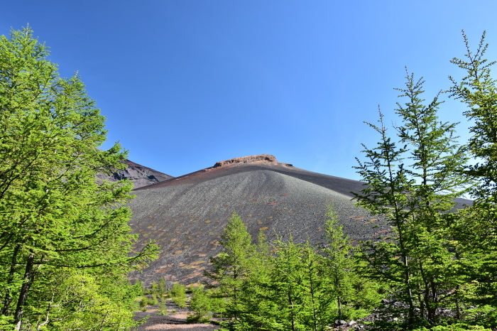 a0307264_11175525.jpg