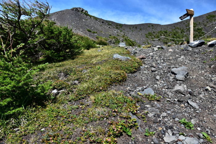 a0307264_11311429.jpg