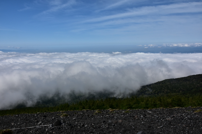 a0307264_12340475.jpg