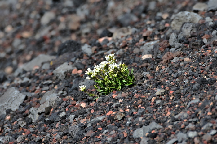 a0307264_13111421.jpg