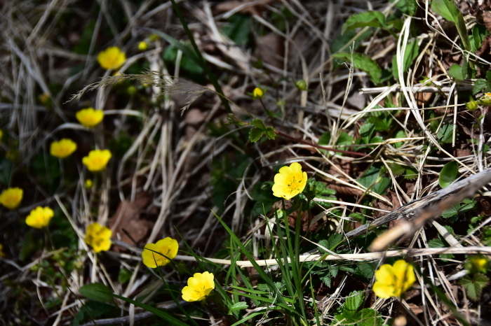 a0307264_13153481.jpg