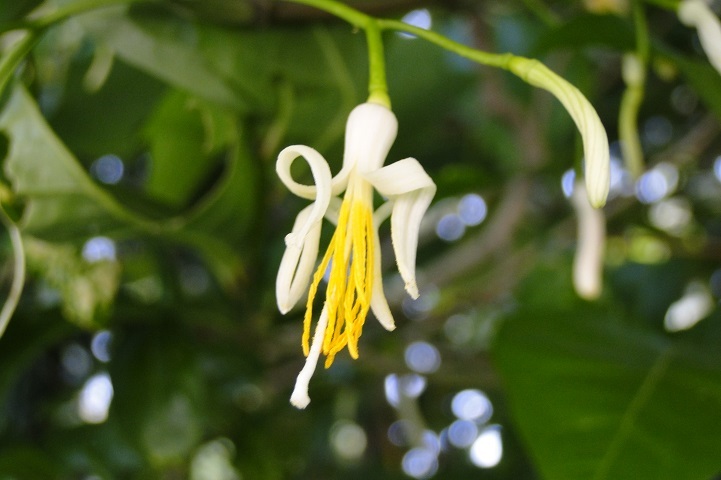 c0248473_21532584.jpg