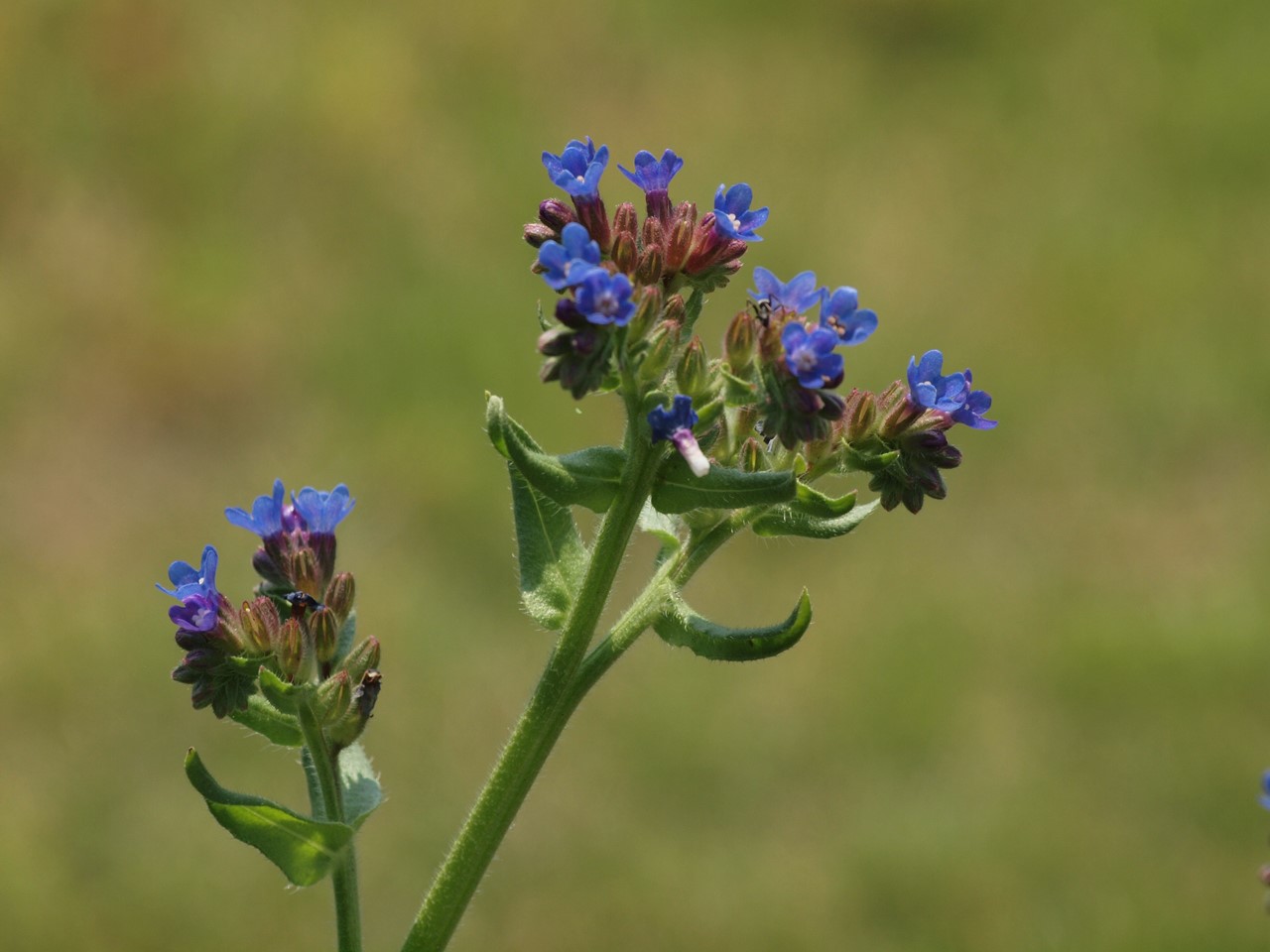 d0054276_2022799.jpg