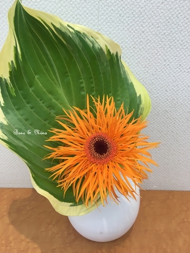 c0283778_17103461.jpg