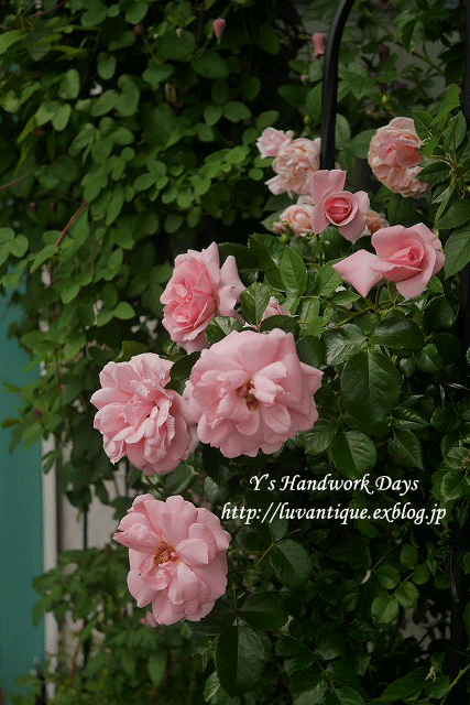 f0330978_13302758.gif