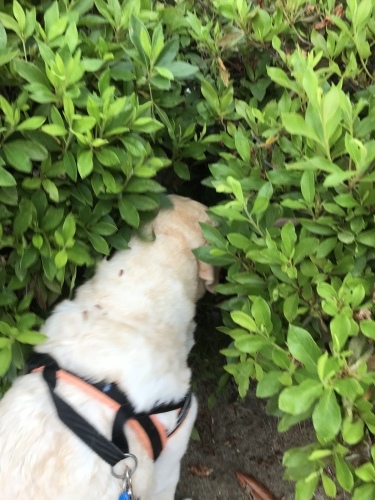 f0315081_21343304.jpeg