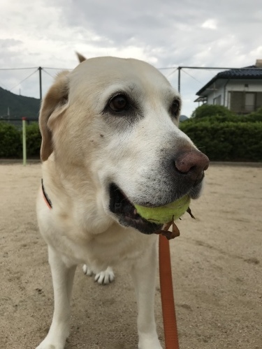 f0315081_21380967.jpeg