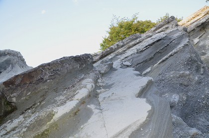 c0229483_23244571.jpg