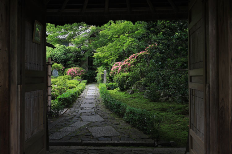 安楽寺_e0051888_06091453.jpg
