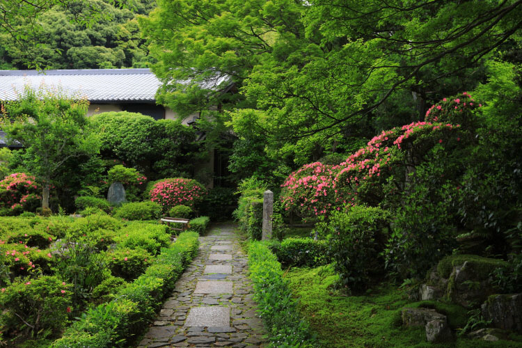 安楽寺_e0051888_06092050.jpg