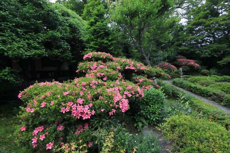 安楽寺_e0051888_06101144.jpg