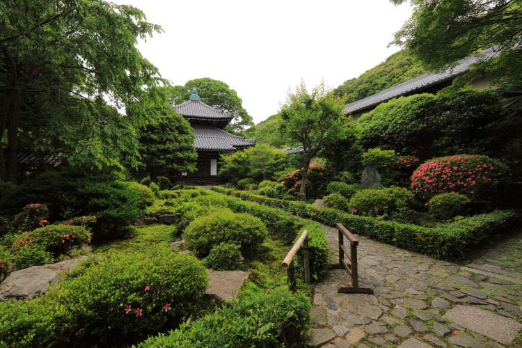 安楽寺_e0051888_06101151.jpg