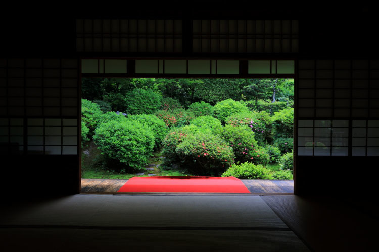 安楽寺_e0051888_06101195.jpg
