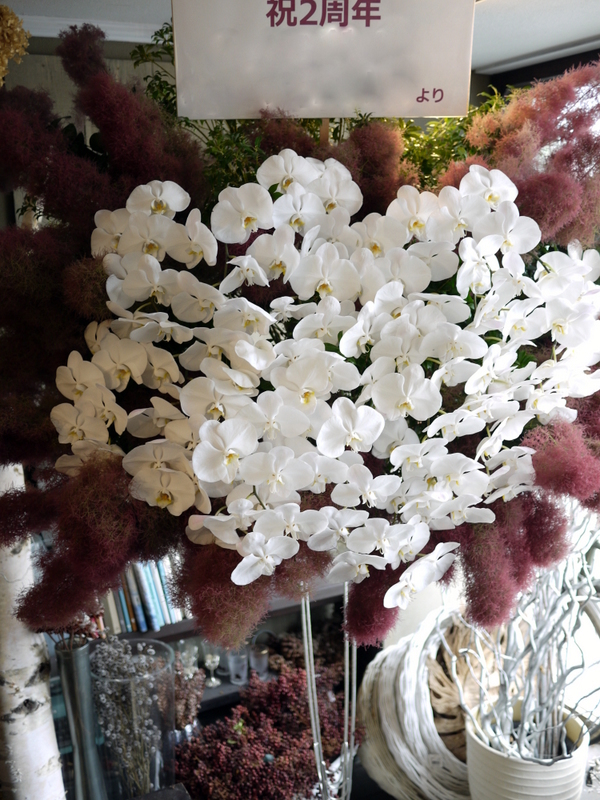 お店の2周年に、胡蝶蘭とスモークツリーのスタンド花。「華やかに」。南6条にお届け。2018/06/07。_b0171193_22435895.jpg