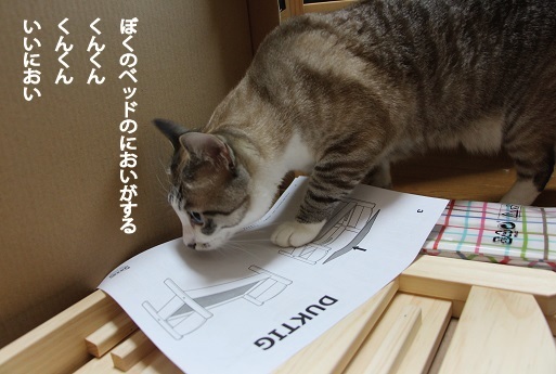 お・ま・た・せ_a0333195_21422205.jpg