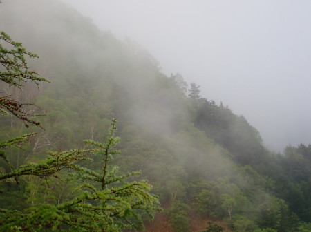 e0120896_06334305.jpg