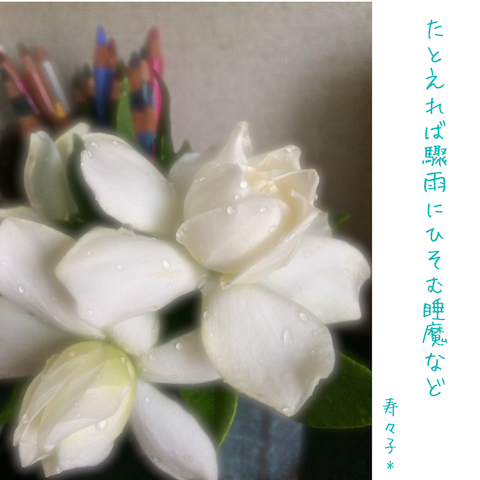 a0205497_09333800.jpeg