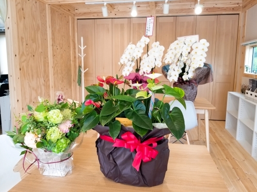 今週末はいよいよ光展示場OPENですヾ(≧▽≦)ノ_f0162000_16401719.jpg