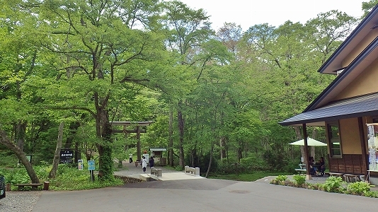 c0336902_20405555.jpg