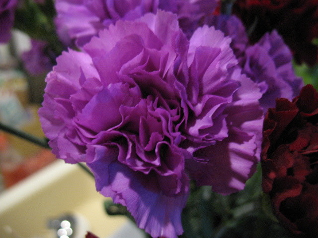 b0052803_21284513.jpg