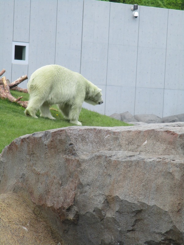f0202703_22104196.jpg