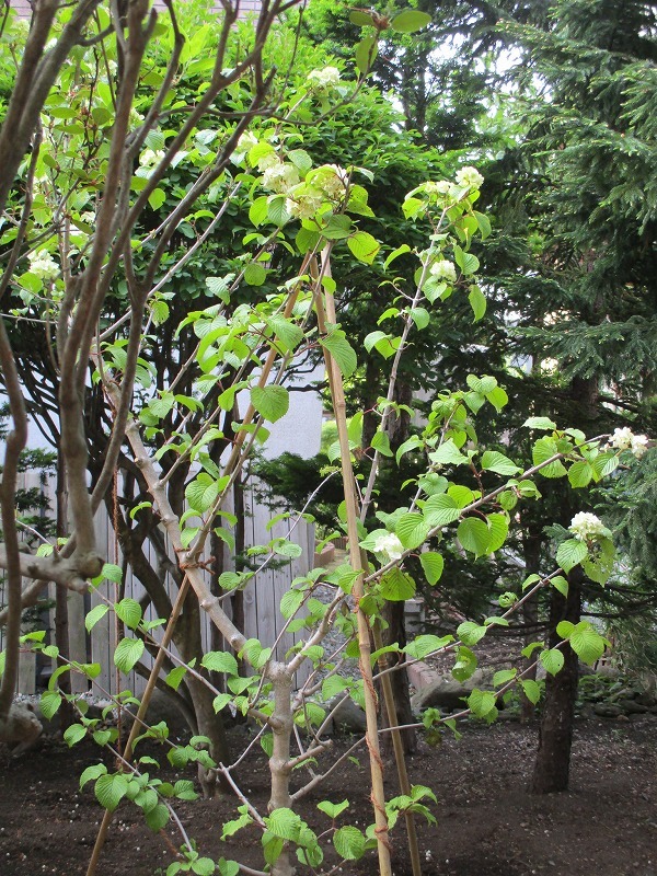 f0202703_22172782.jpg