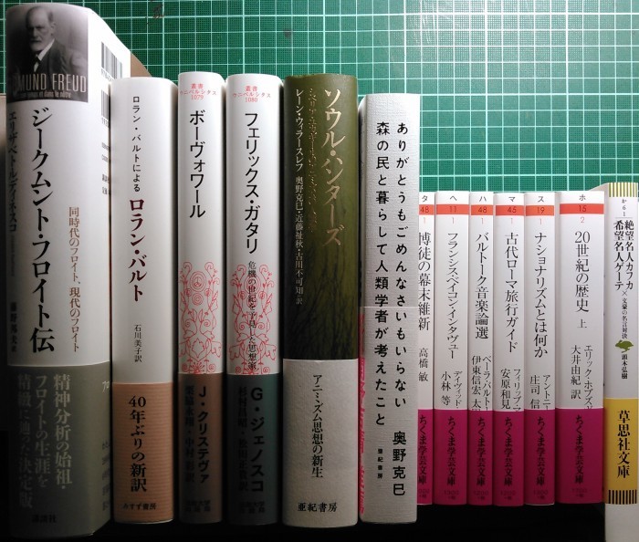 注目新刊：ジェノスコのガタリ論、クリステヴァのボーヴォワール論、ほか_a0018105_01344429.jpg