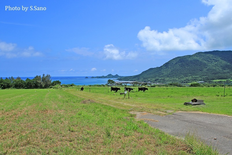 石垣島の旅（2018年6月）_b0348205_23032203.jpg