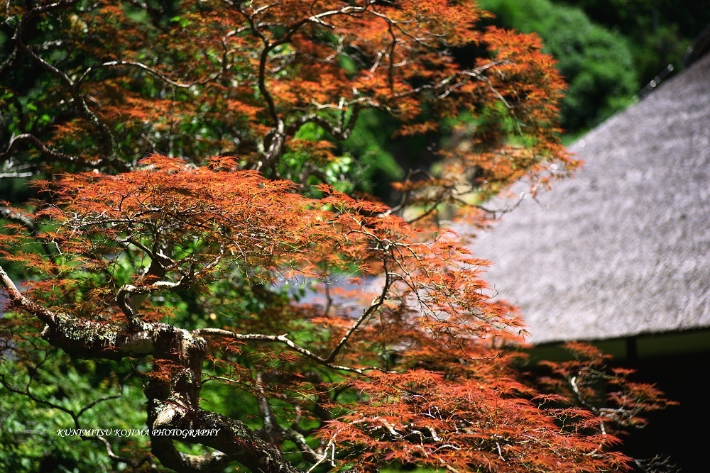 d0376905_14033495.jpg