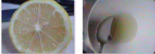 f0231709_17533292.gif