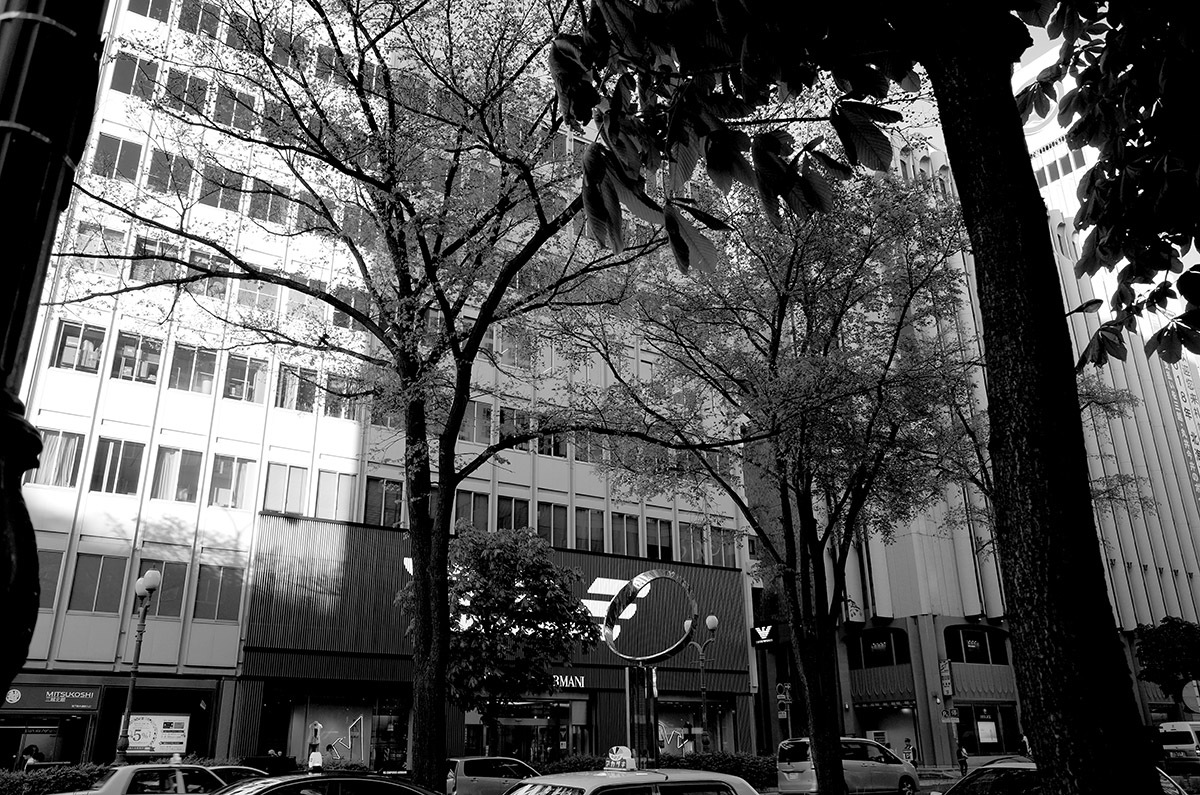c0082715_08371822.jpg
