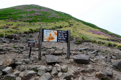 d0170615_10344996.jpg