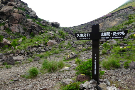 d0170615_10345729.jpg