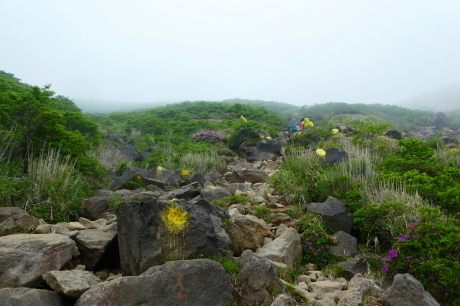 d0170615_10361398.jpg