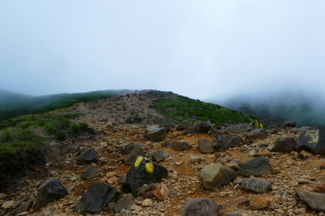 d0170615_10364233.jpg