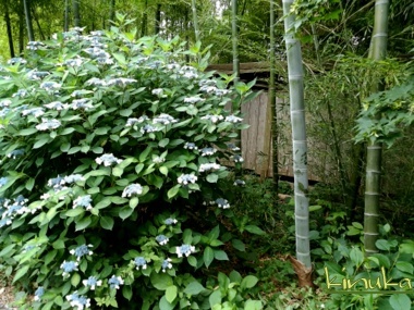 f0205317_03283862.jpg